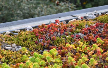 the cost of Woodyates green roof installation