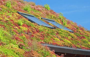 Woodyates living roof systems