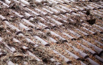 Woodyates roof cleaning companies