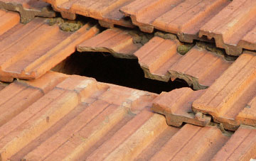 roof repair Woodyates, Dorset